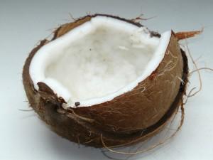 coconut-60395_1280 (1)